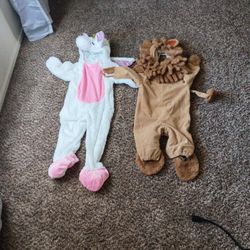 🦄 Unicorn Costume And A Lion Custome