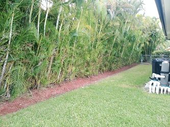 Lawn mantenance
