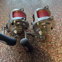 Talica 50s Shimano Fishing Reel