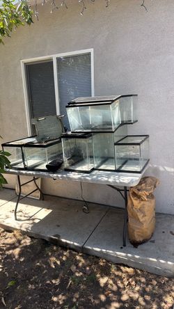 Aquariums/terrarium bundle