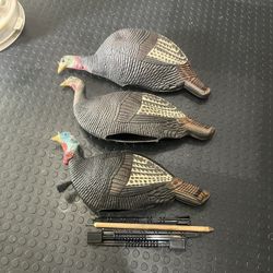 Turkey Decoys