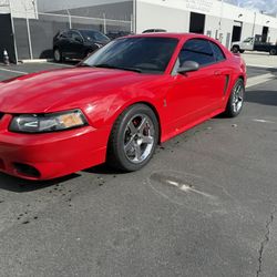 1999 Ford Mustang Svt Cobra 
