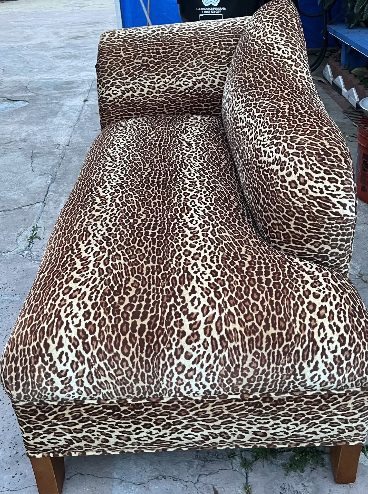 Cheetah Print Sofa Lounge