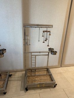 bird stand