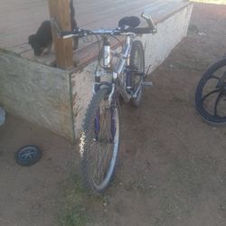 Used* XR-100 Moutain Bike 