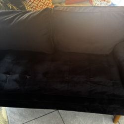 Couch/ Love Seat