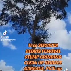 Poda De Arboles!! TREE!!