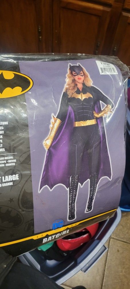 Batgirl Deluxe Adult Costume 