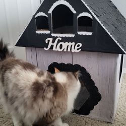 Kitty Cat Condo Or Commode 