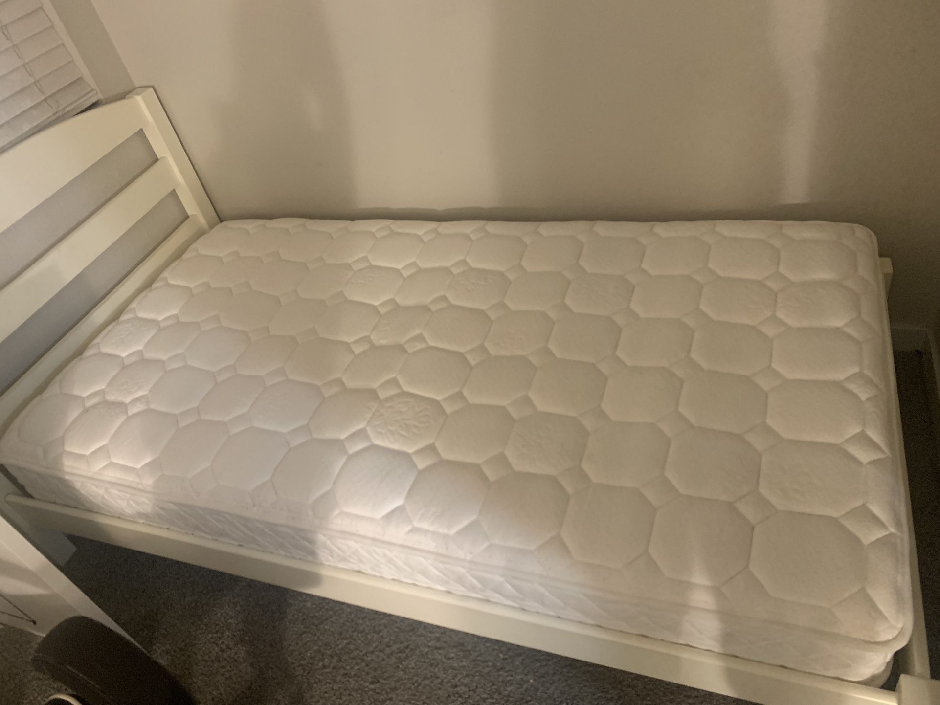 Free Twin Mattress