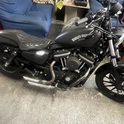 2013 Iron 883 Bajas Negra