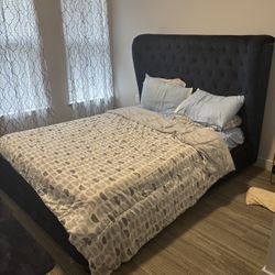 Finley Blue Velvet Queen Sized Bed
