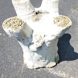 Concrete Plant Holder