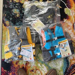 1 Adult Lifejacket And Two Kid’s Lifejackets