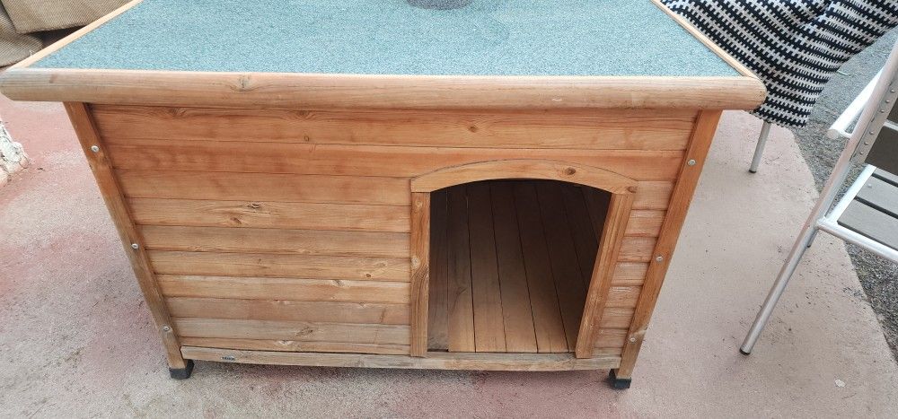 Dog HOUSE