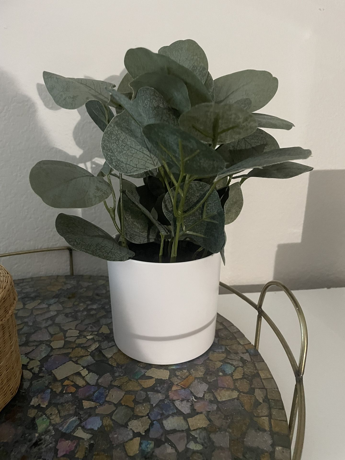 Faux Plant