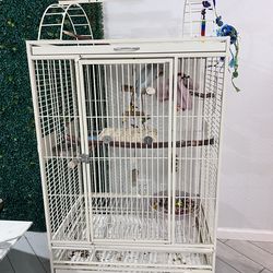 Ringneck  Cage