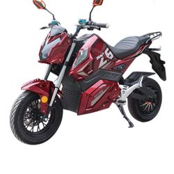 Electric Z6 Motorcycle 