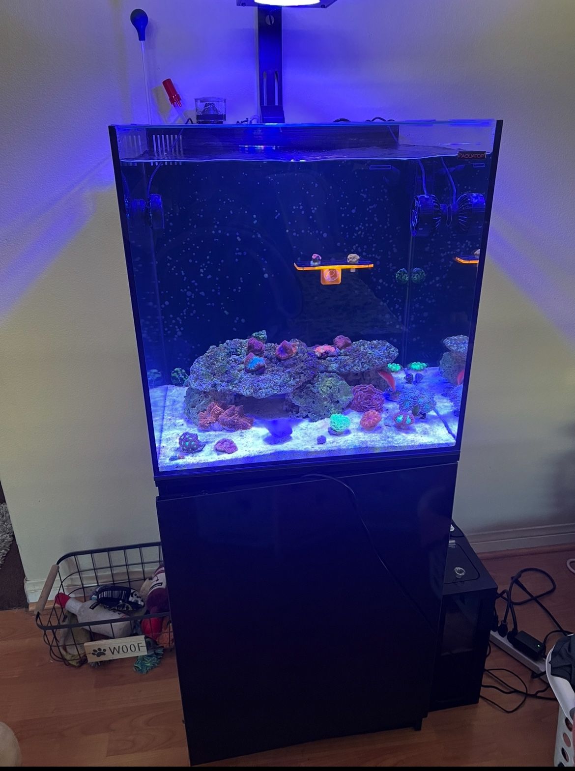 40 Gallon AIO complete