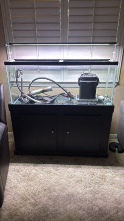 60 gallon fish tank