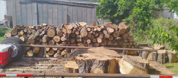 Oak firewood