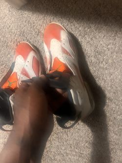 Jordan 6 11.5
