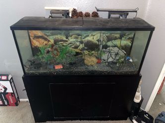 70G Aquarium