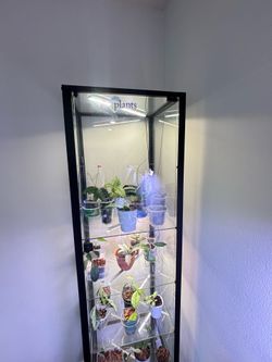 Greenhouse cabinet/ glasses display/ shelf with 3 grow lights