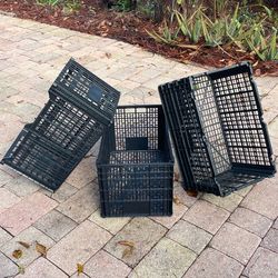 Storage plastic containers $5.00 EACH, CASH. TEXT FOR PRICES