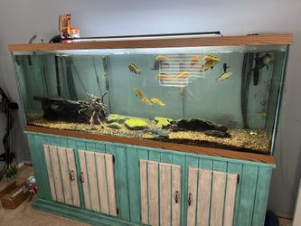 200 Gallon Tank With Everything