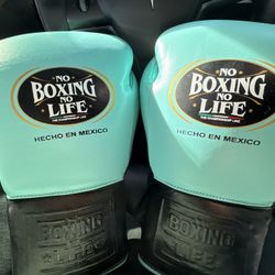 BOXING GLOVES 