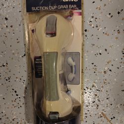 Suction Cup Grab Bar In Spring Hill