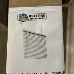 New Chicology Window Blinds 48x72