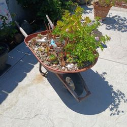 Wheelbarrow Succulents Plant Bed Must Go!