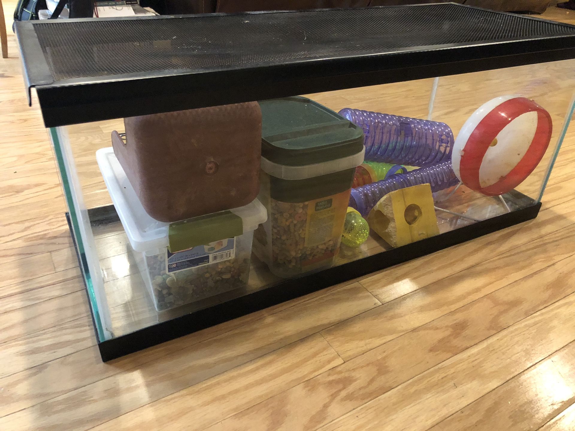 Glass aquarium for small pets -includes wheel, tunnels and food for gerbils