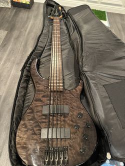 Peavy 5 String Bass