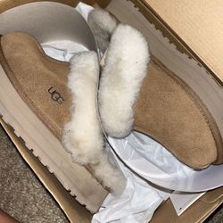 Women’s Uggs 
