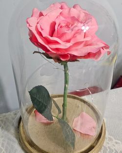 Valentines Gift Enchanted Rose