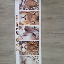 12x36 Wild Cats Poster