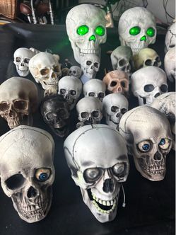 Halloween Skulls