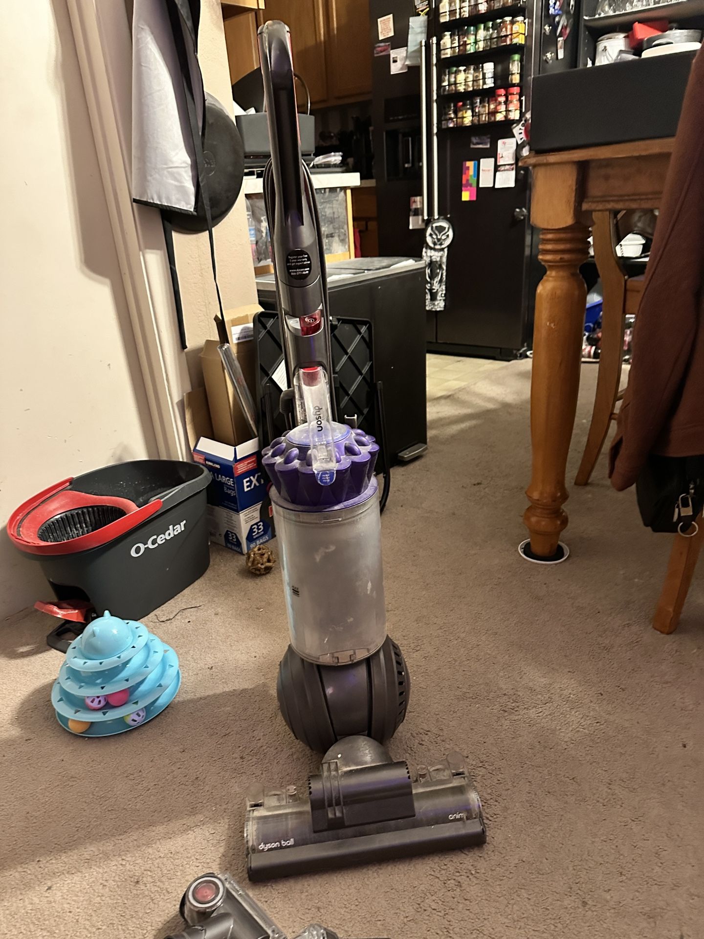 Dyson Pet Vacuum