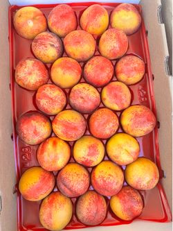 Fresh fruit for pick up in Ripon Ca.