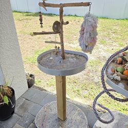Small Bottlebrush Bird Perch