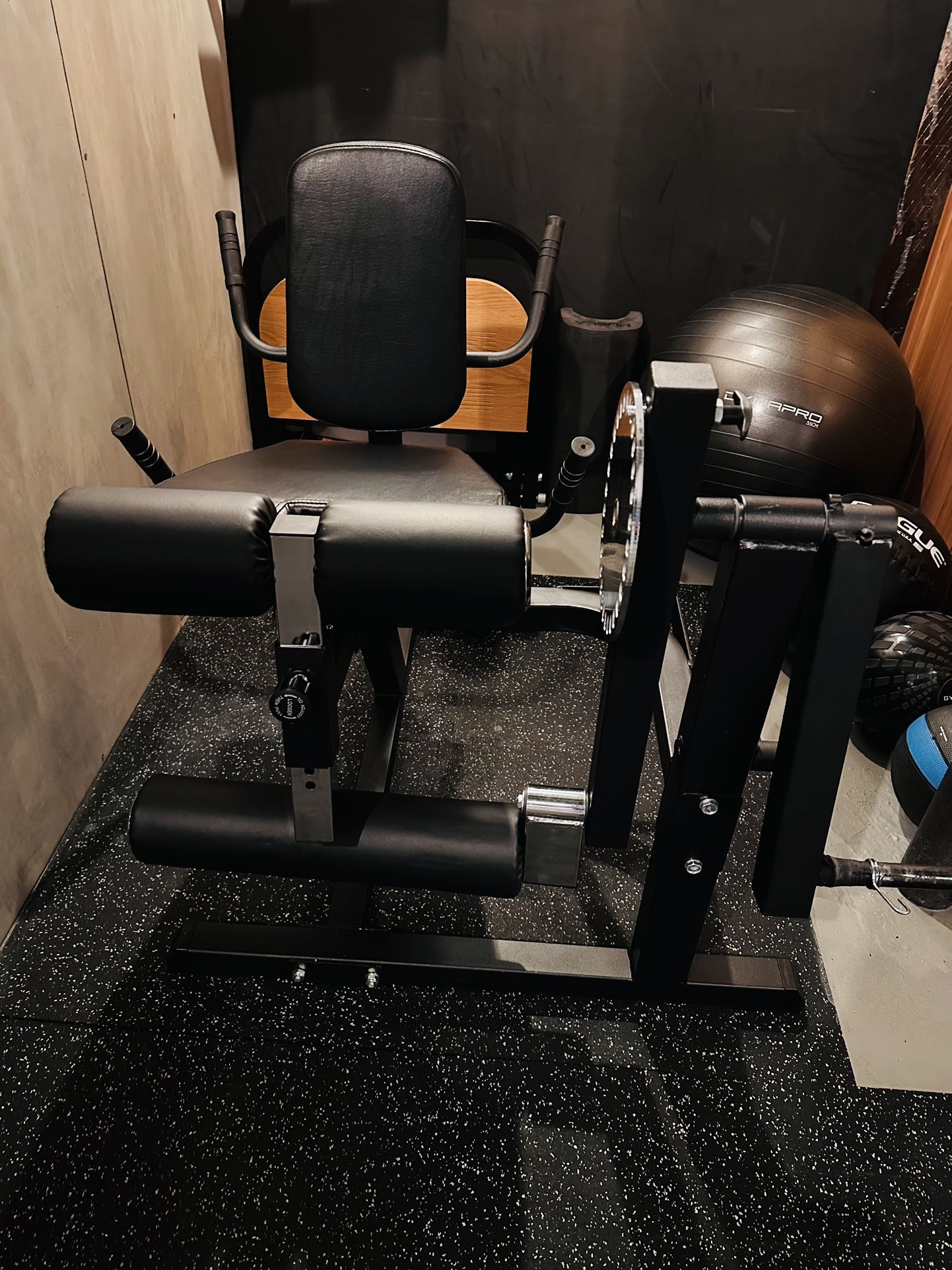 Leg Extension/Leg Curl Machine