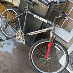 Raleigh Bike