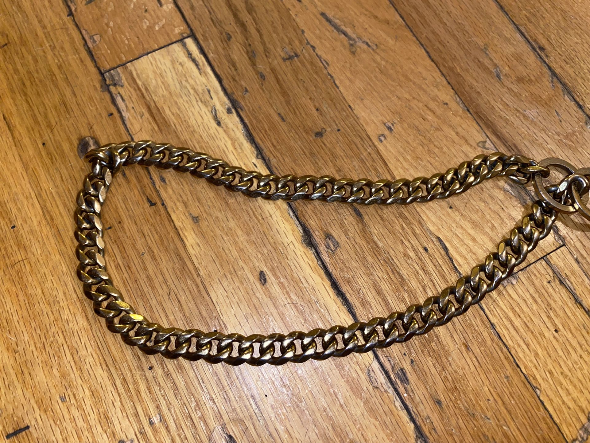 Cuban Dog Collar