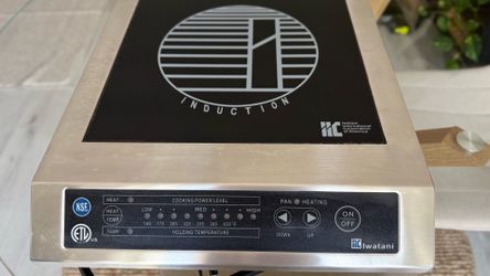 Iwatani Induction range