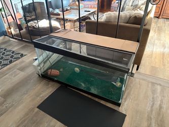 Snake/reptile/fish tank