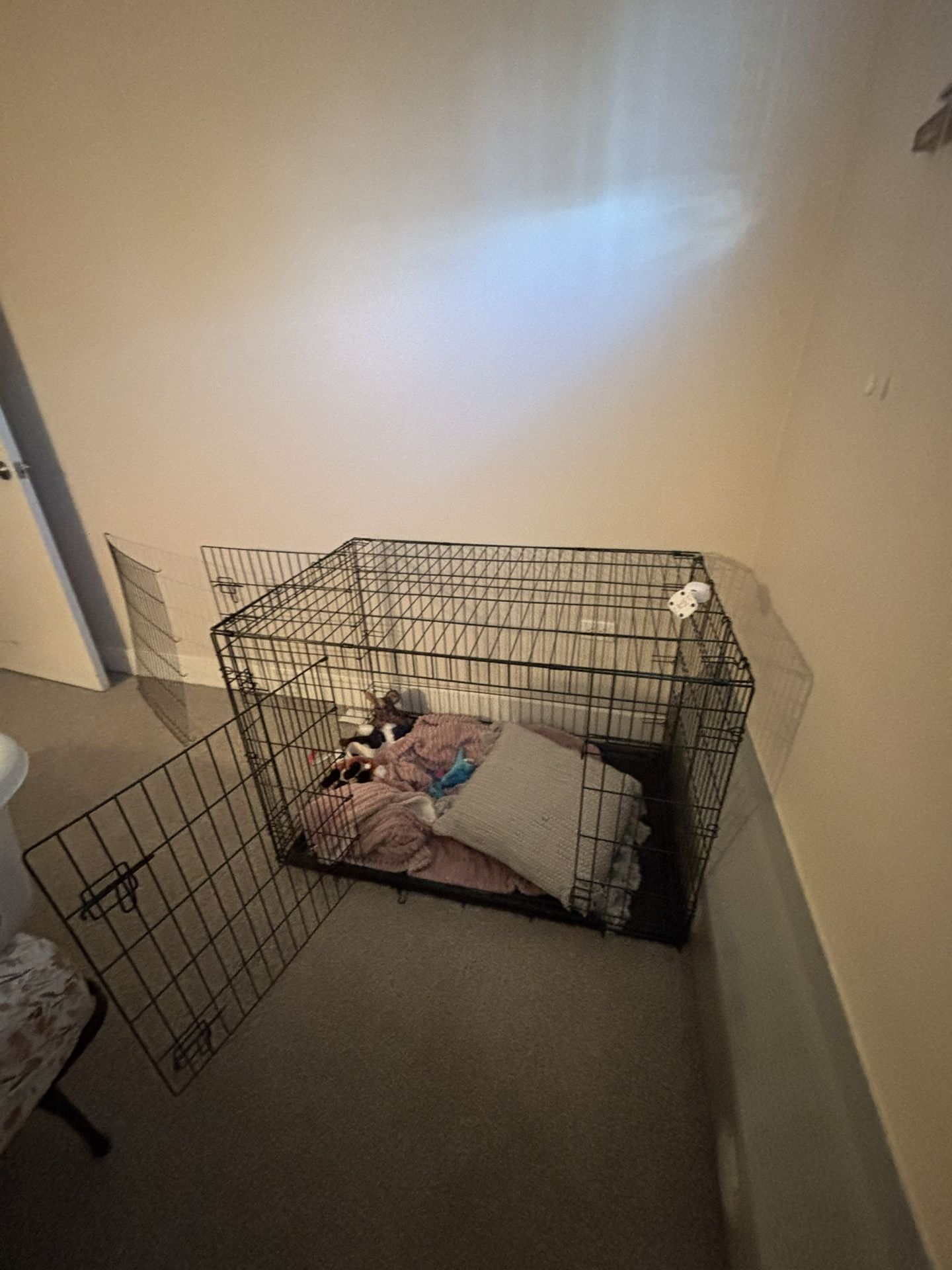 Large Crate