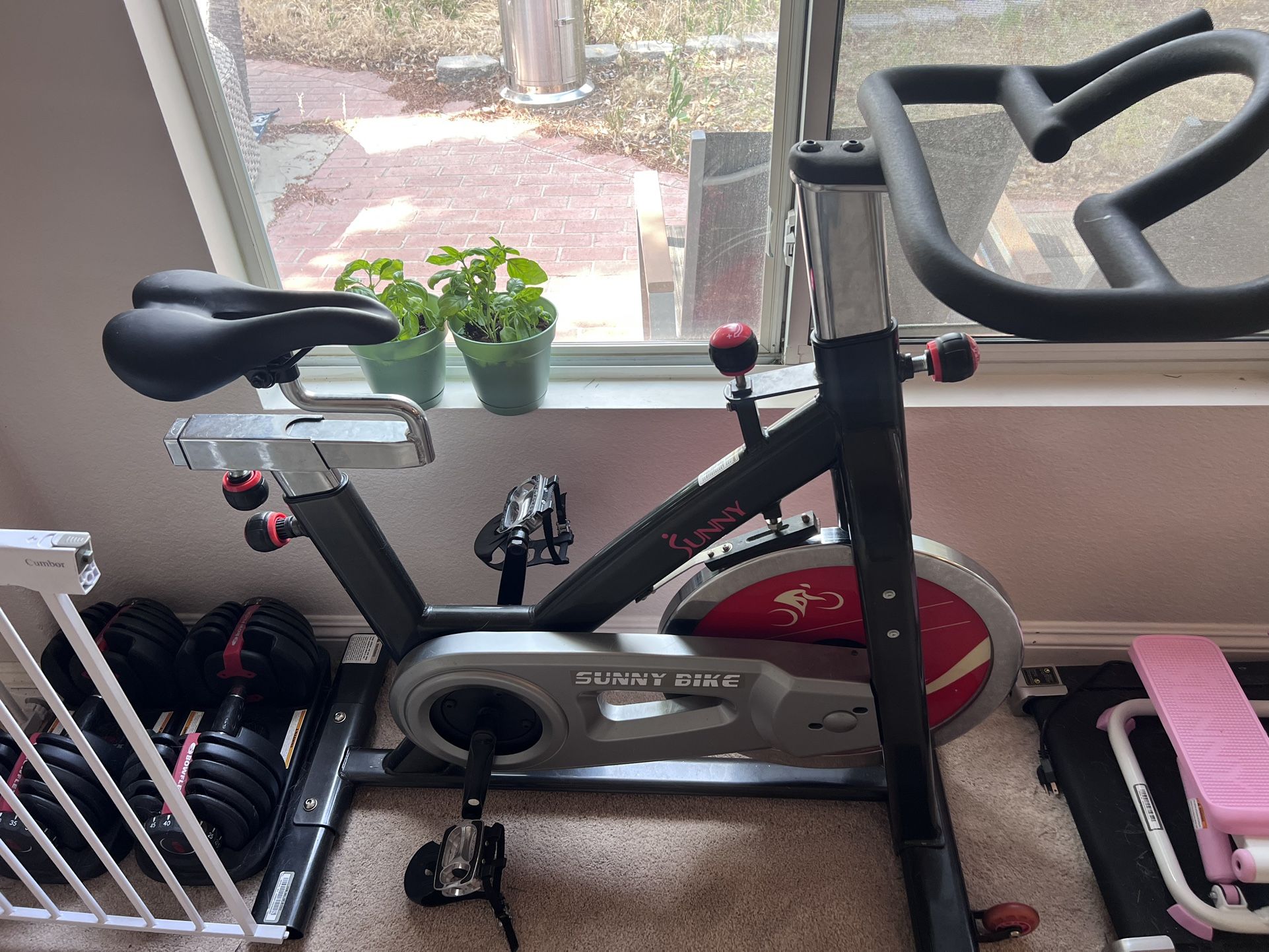 Exercise Bike